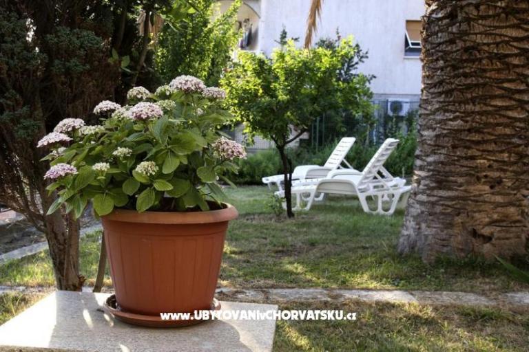 Apartmány Domeniko – foto 7