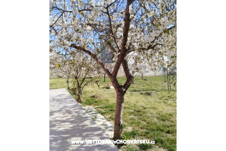 Apartmány Renić – foto 13