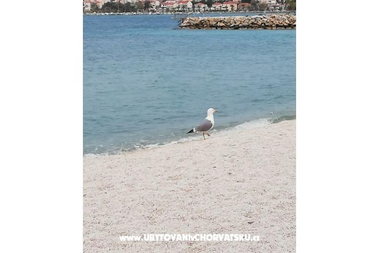 Apartmány Plave oči  – foto 6