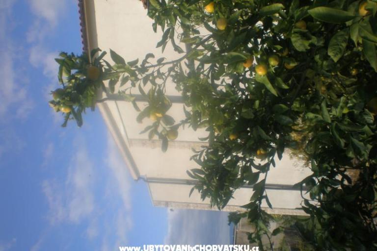 Apartmány Mandarić  – foto 15