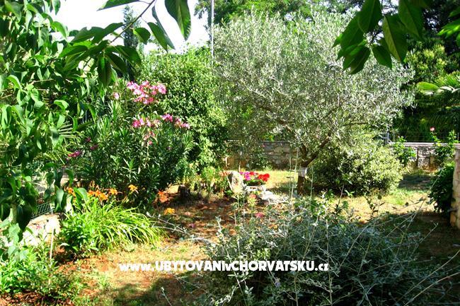 Apartmán Nadia – foto 14