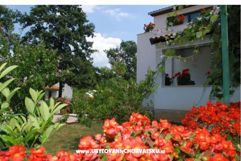 Apartmány Bauk – foto 3