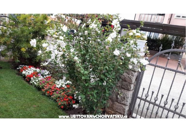 Apartmány Dragica! – foto 24