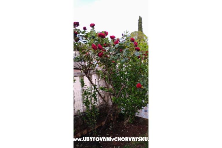 Apartmány Dragica! – foto 28
