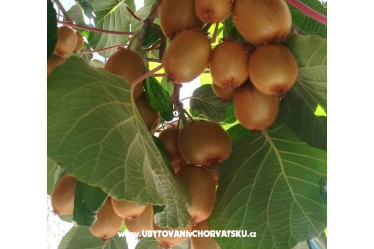 Apartmány Lucija – foto 14