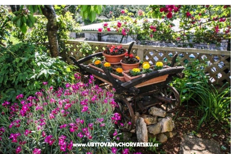 Apartmán Lori – foto 13