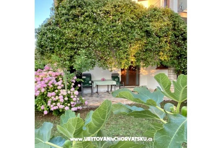 Apartmány Aleks-Ana – foto 9