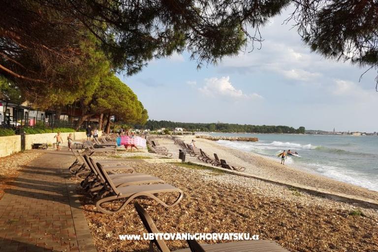 San Marko – foto 15