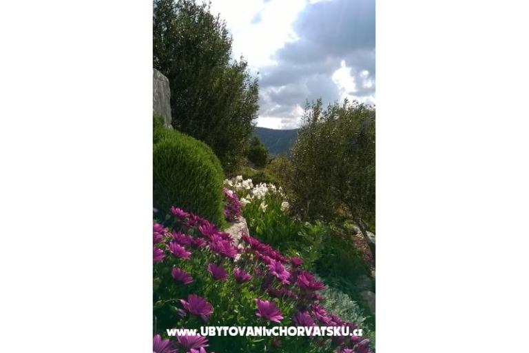 Apartmány   Luka – foto 5