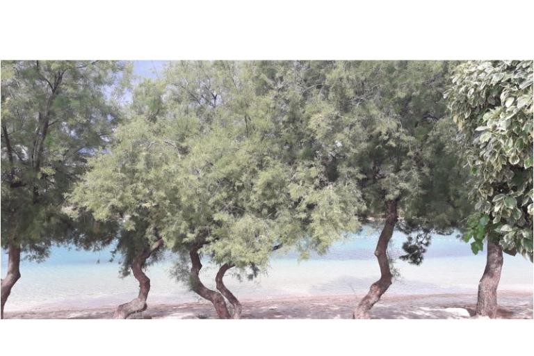 Apartmány Natalija i Ante – foto 10