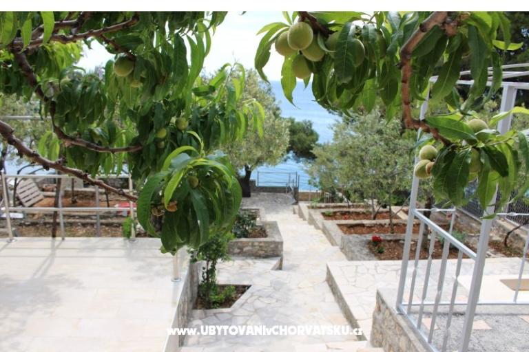 Apartmány Maja – foto 8