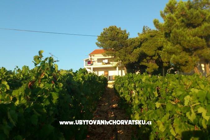 Apartmány vila Diana – foto 8
