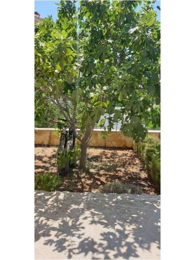 Apartmány Jambrovic – foto 22