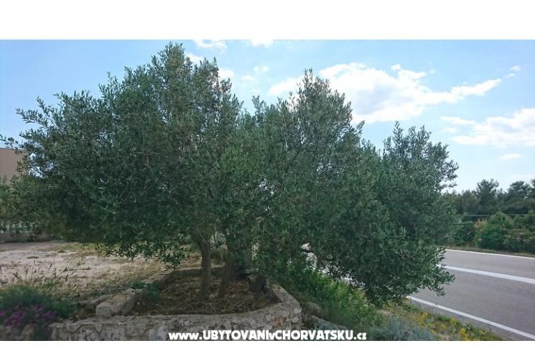 Apartmány Kocka  – foto 10