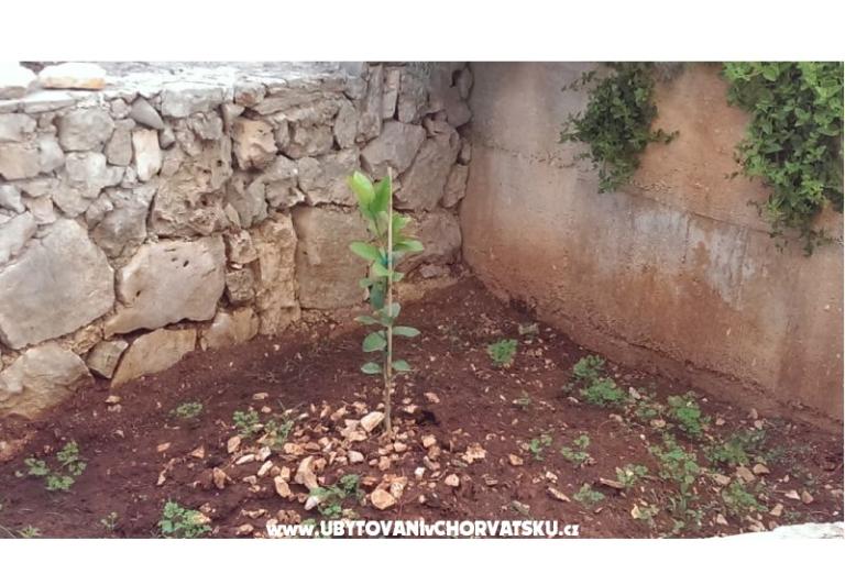 Primosten Apartmány Rest place – foto 6