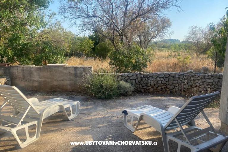 Olive grove – foto 6