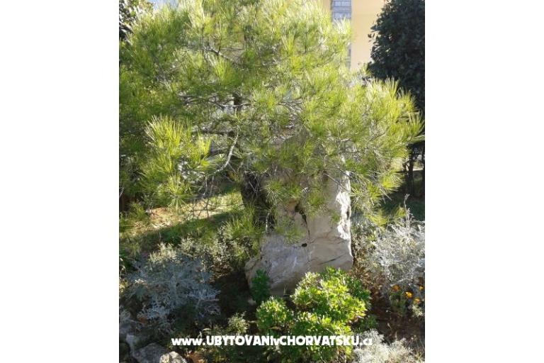 Apartmány Mare &amp; Berto – foto 4