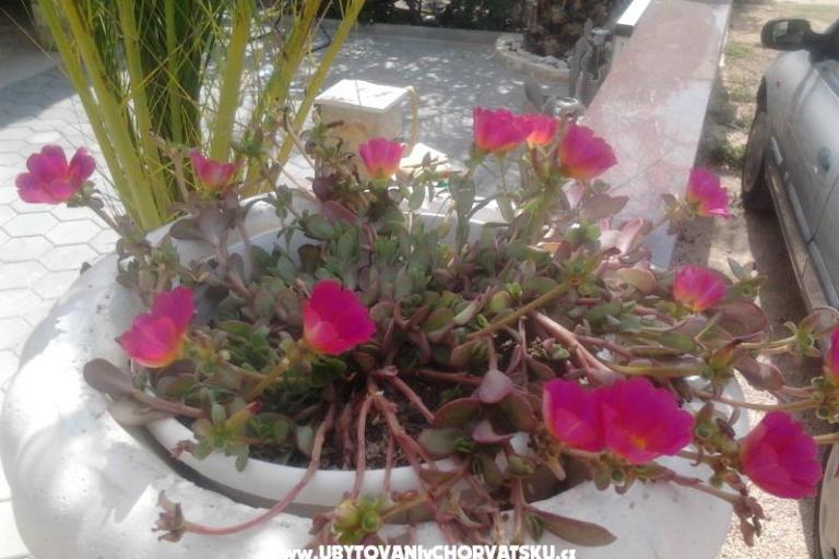 Apartmány Tiffany – foto 8