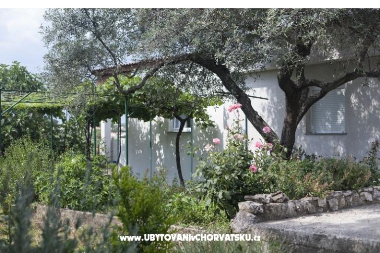 Apartmán Lu&amp;Li – foto 16