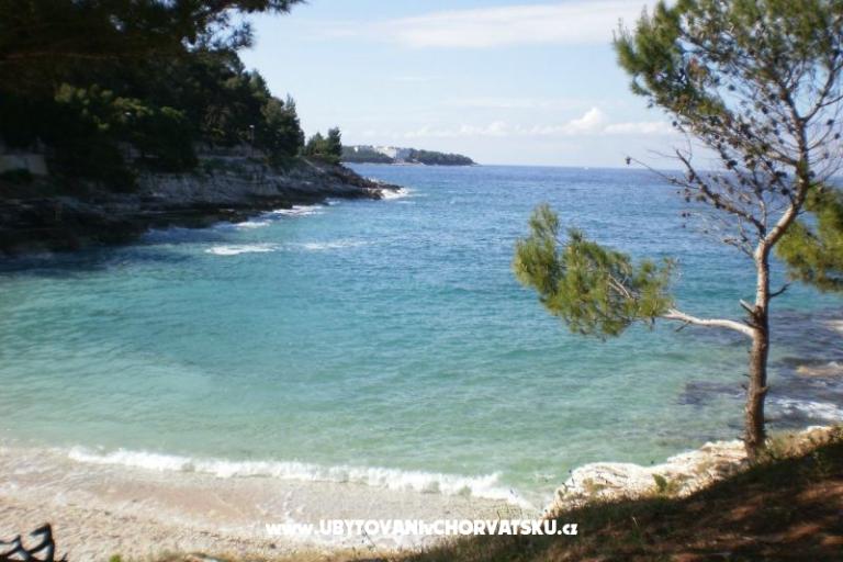 Apartmán Kranjac – foto 17