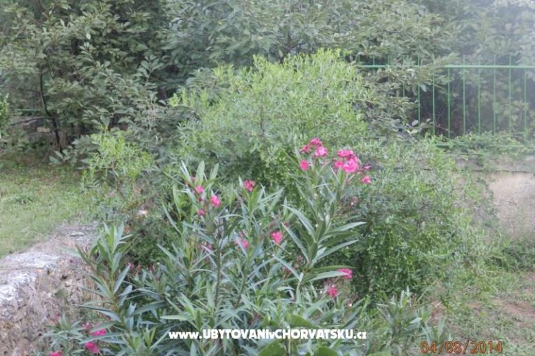 Apartmán Valdebek – foto 15