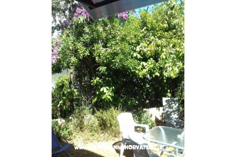 Apartmán Zora Pula – foto 21