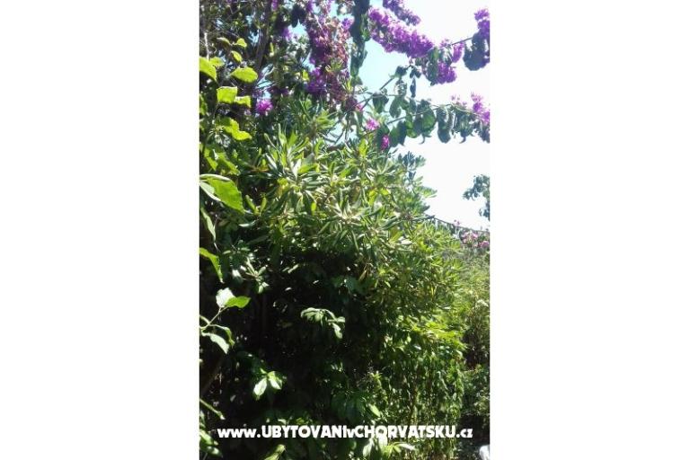 Apartmán Zora Pula – foto 26