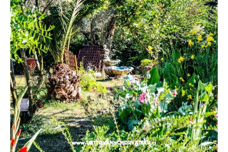 Apartmán pool Slivar – foto 11