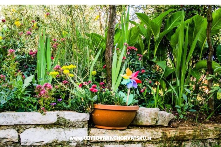 Apartmán pool Slivar – foto 12