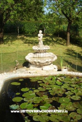 Apartmán pool Slivar – foto 8
