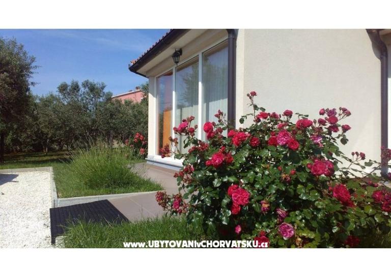 Prázdninový dom Brcina – foto 7