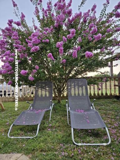 Kristina Apartmány – foto 3