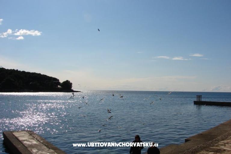 Apartmán Petra – foto 11