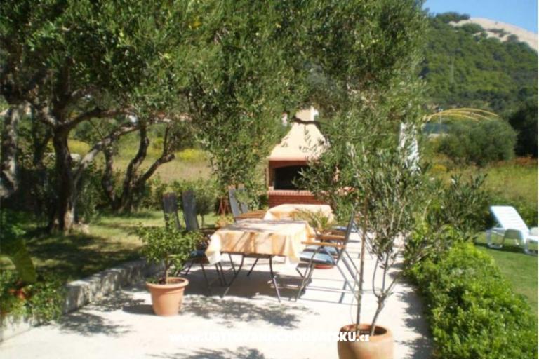 Apartmány Batifogo – foto 11