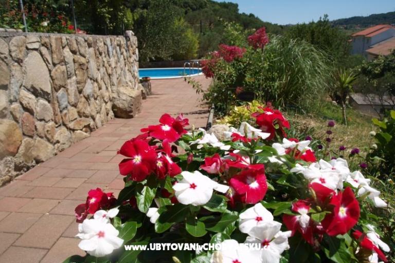 Apartmány Dumičić – foto 8
