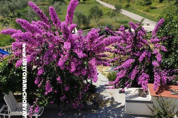 Apartmány Lupić – foto 16