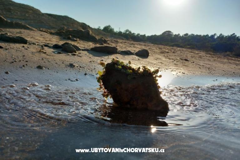 Apartmány Mira – foto 23