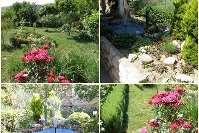 Apartmány Skoblar Holiday-Rab – foto 2