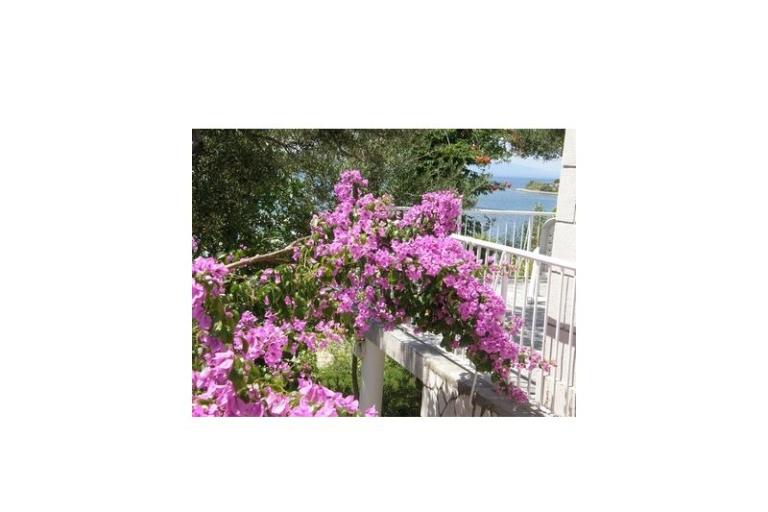 Apartmány  Španjol – foto 7