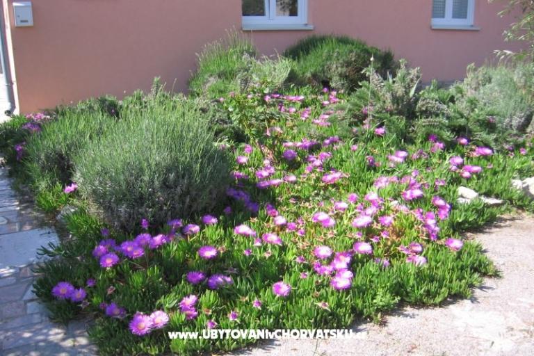 Apartmán Marina exclusive – foto 3