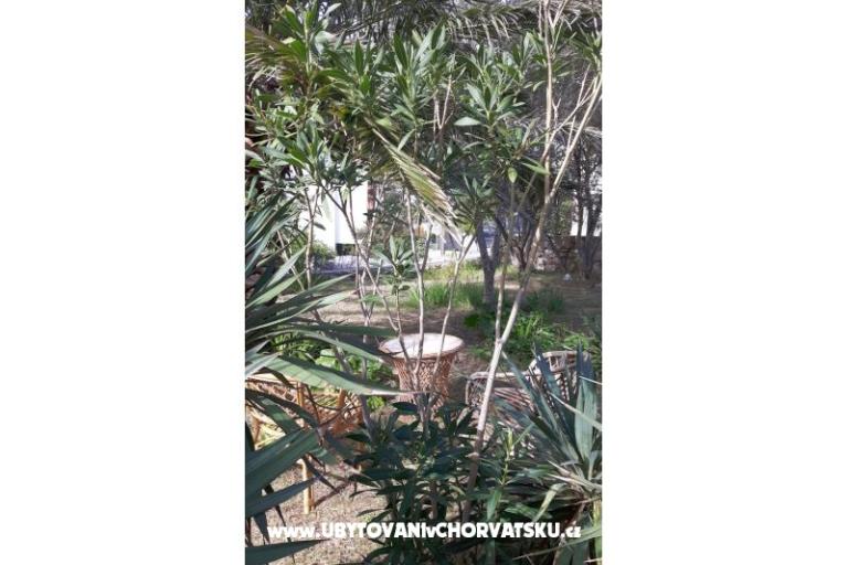 Izby Jadra – foto 6