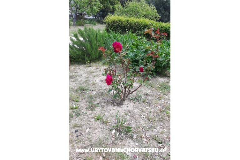 Izby Jadra – foto 7