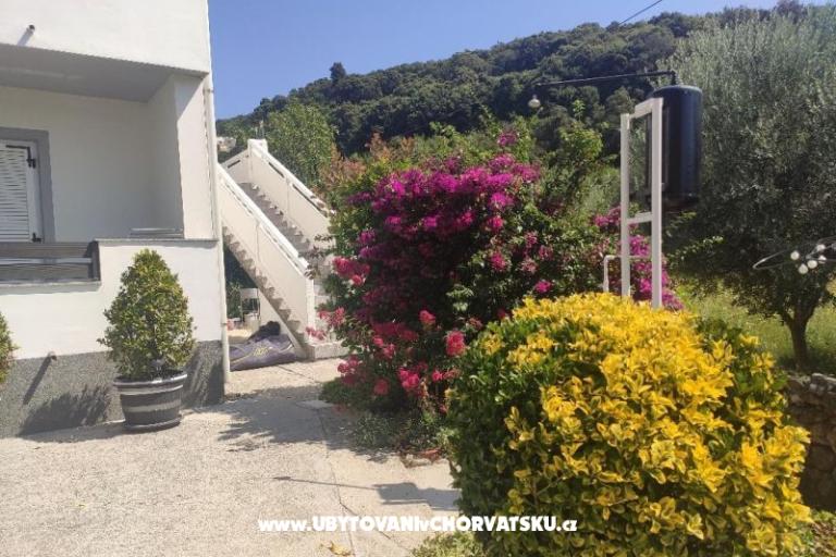 Apartmány uvala Vardoža – foto 54