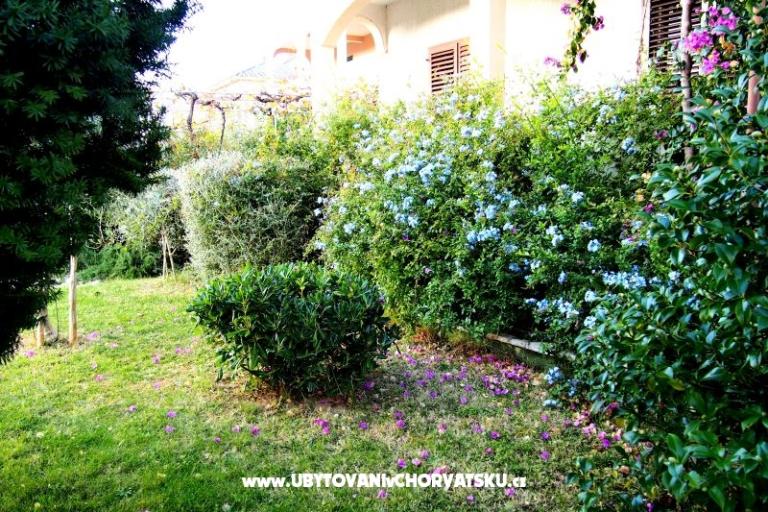 Dom Ivanić – foto 2