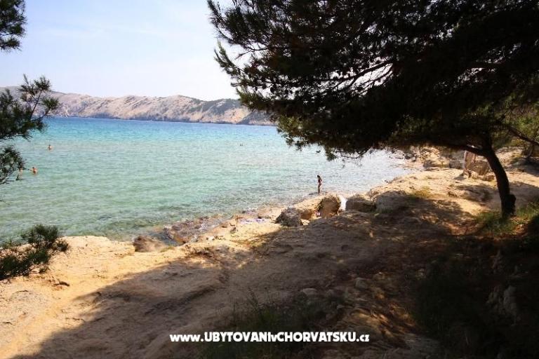 Izby i apartmani Lidija – foto 14