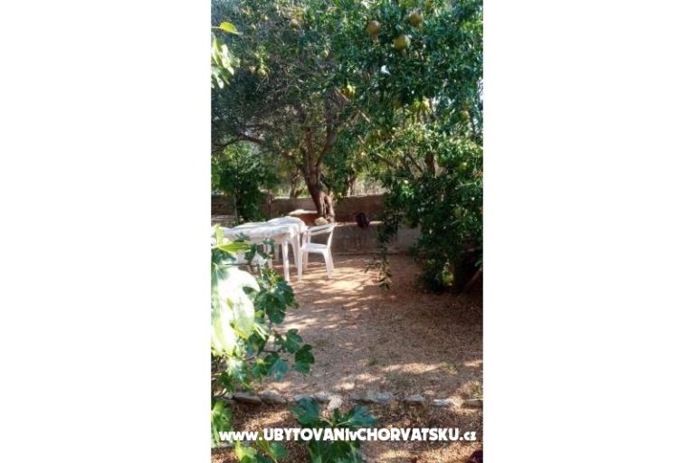 Studio Apartmány Vidas – foto 13