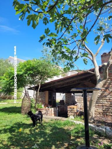 Villa Marija – foto 10