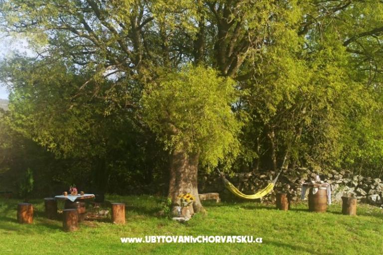 Traditional Istrian Dom ENI – foto 11