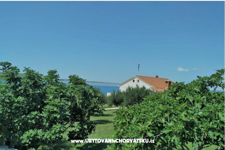 Apartmán Miočić - Adam – foto 13