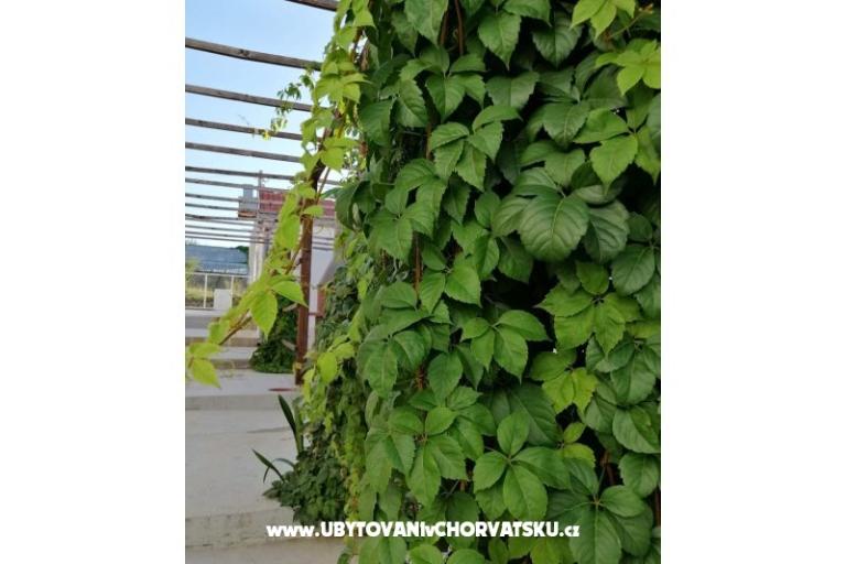 Apartmány Kožul – foto 14